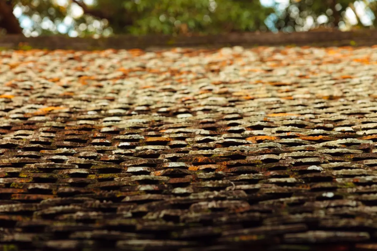 Moss growing on an aging asphalt shingle roof in Toms River, NJ